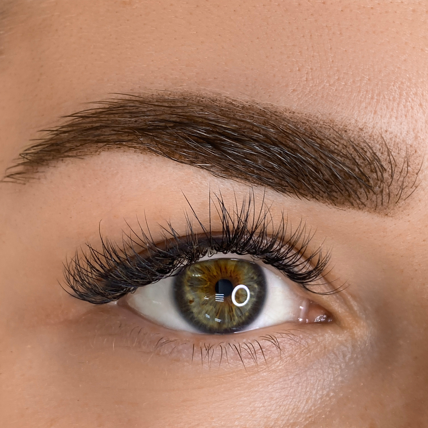 Brow Tidy