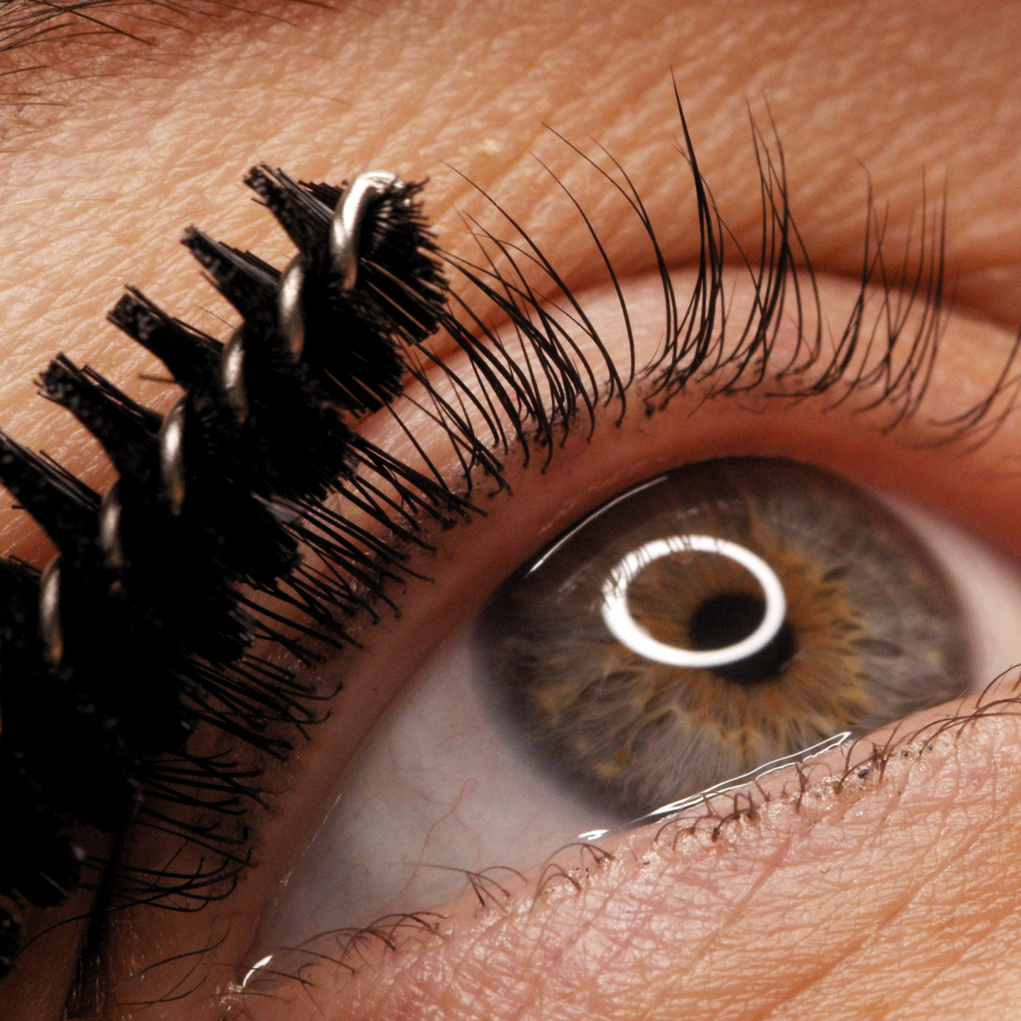 Lash Lift & Tint