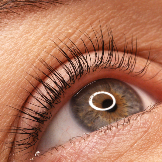 Lash and Brow Tint + Brow Tidy